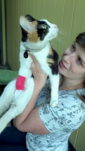 Getting rehydrated to help treat pancreatitis resulted in the most adorable bandage.