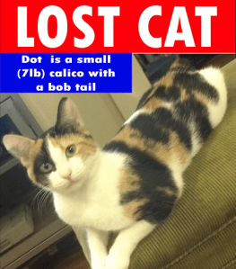 We hung these EVERYWHERE.